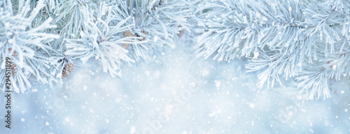 Soft Winter Christmas background with snowy pine © lumikk555