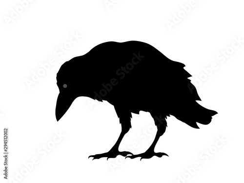 Rabenvogel Silhouette, Vektor Illustration isoliert auf weißem Hintergrund