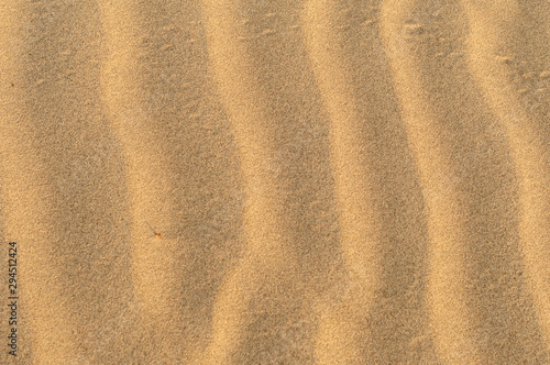 Texture of the soft sand 