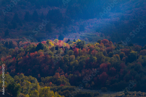 Autumn Color