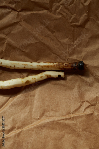 Burdock Root