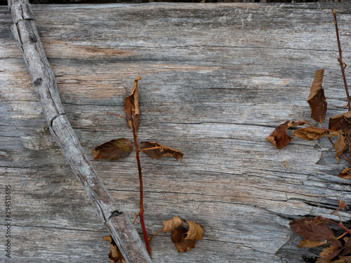 Background Of Old Wood With Twigs