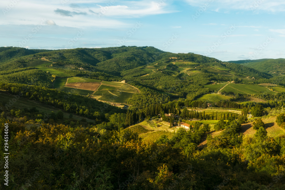 Vineyard near Volpaia town in Chianti region in province of Siena. Tuscany landscape. Italy