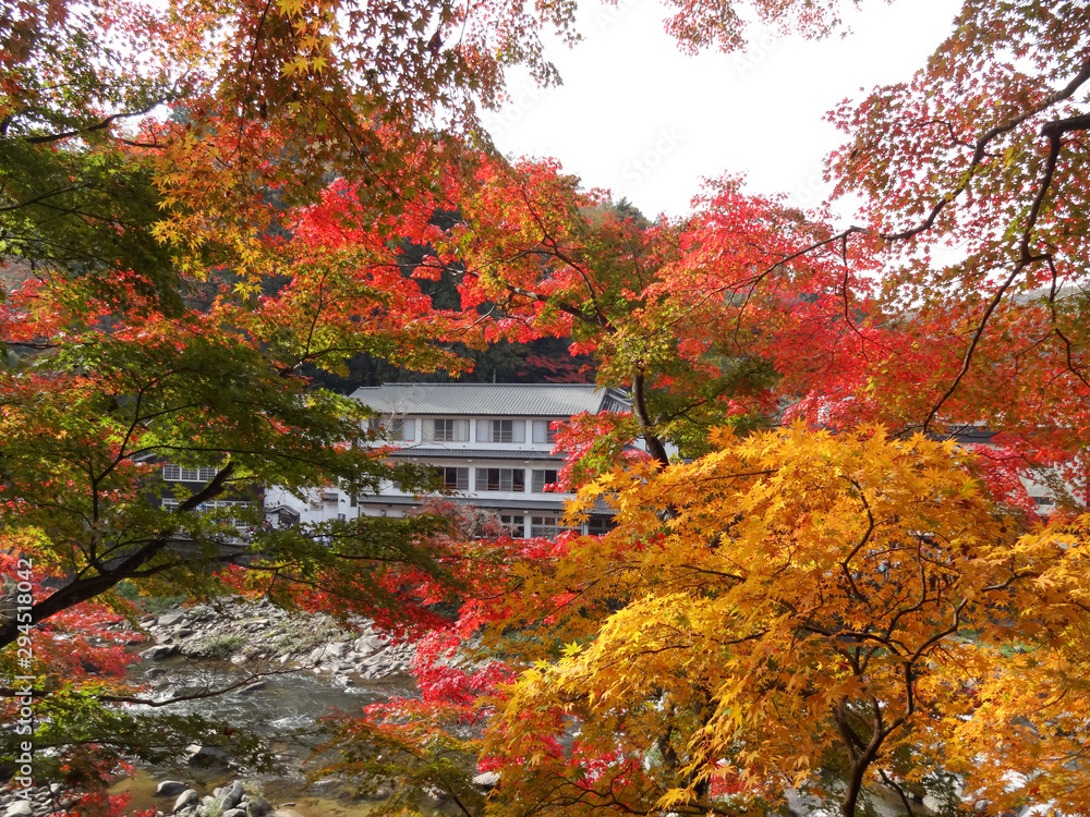 香嵐渓の紅葉（愛知県豊田市足助）