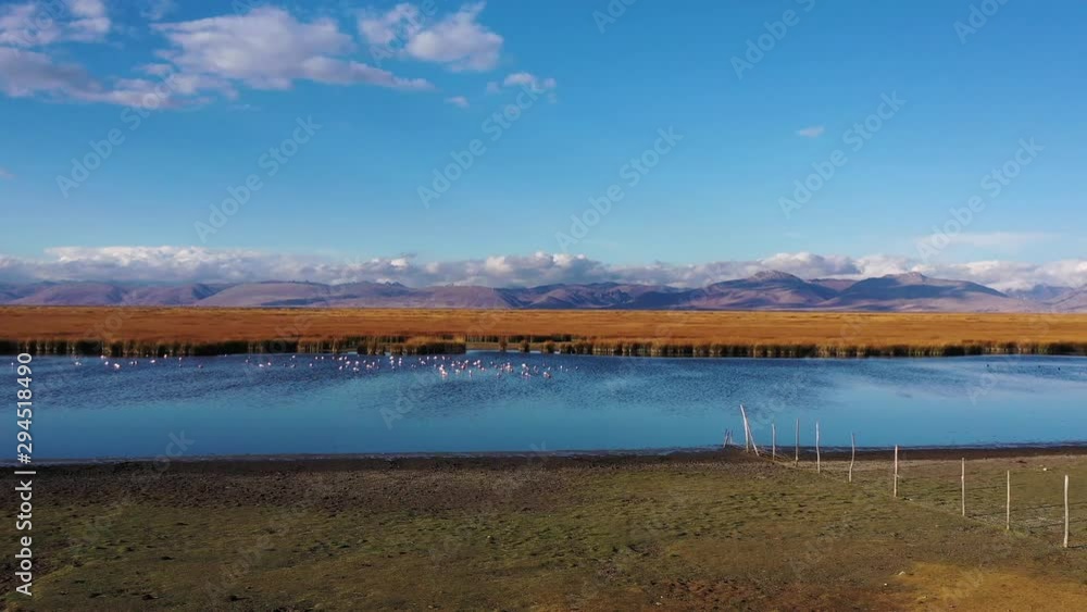 Beautiful view of large andean lake in Perú Beautiful view of large andean lake in Perú