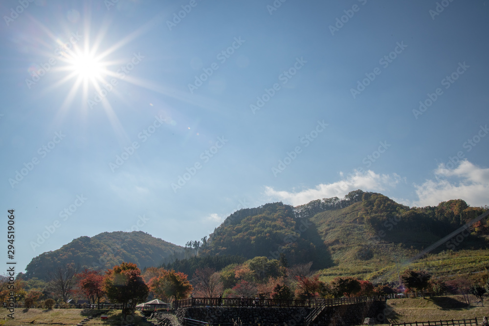 Fototapeta premium もみじ谷大吊橋