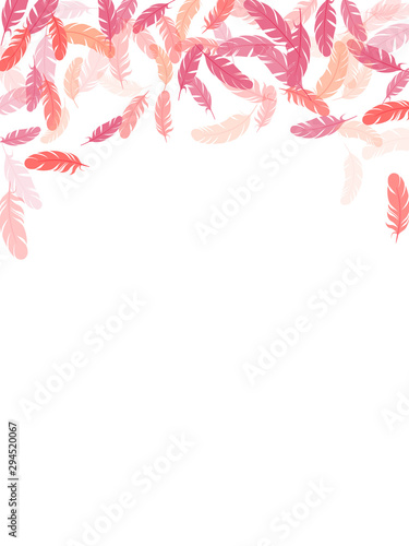 Fluffy twirled feathers on white design.