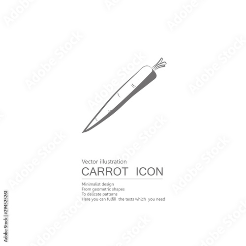 Vector drawn carrots. Isolated on white background.