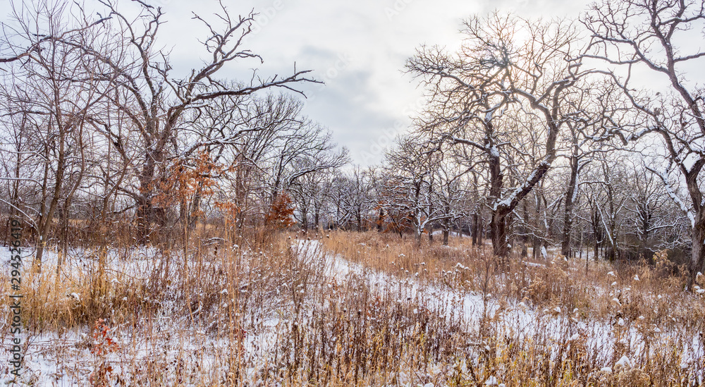 Snowy forest and trail in Quarry Hill Nature Center, Rochester, Minnesota Snowy forest and trail in Quarry Hill Nature Center, Rochester, Minnesota
