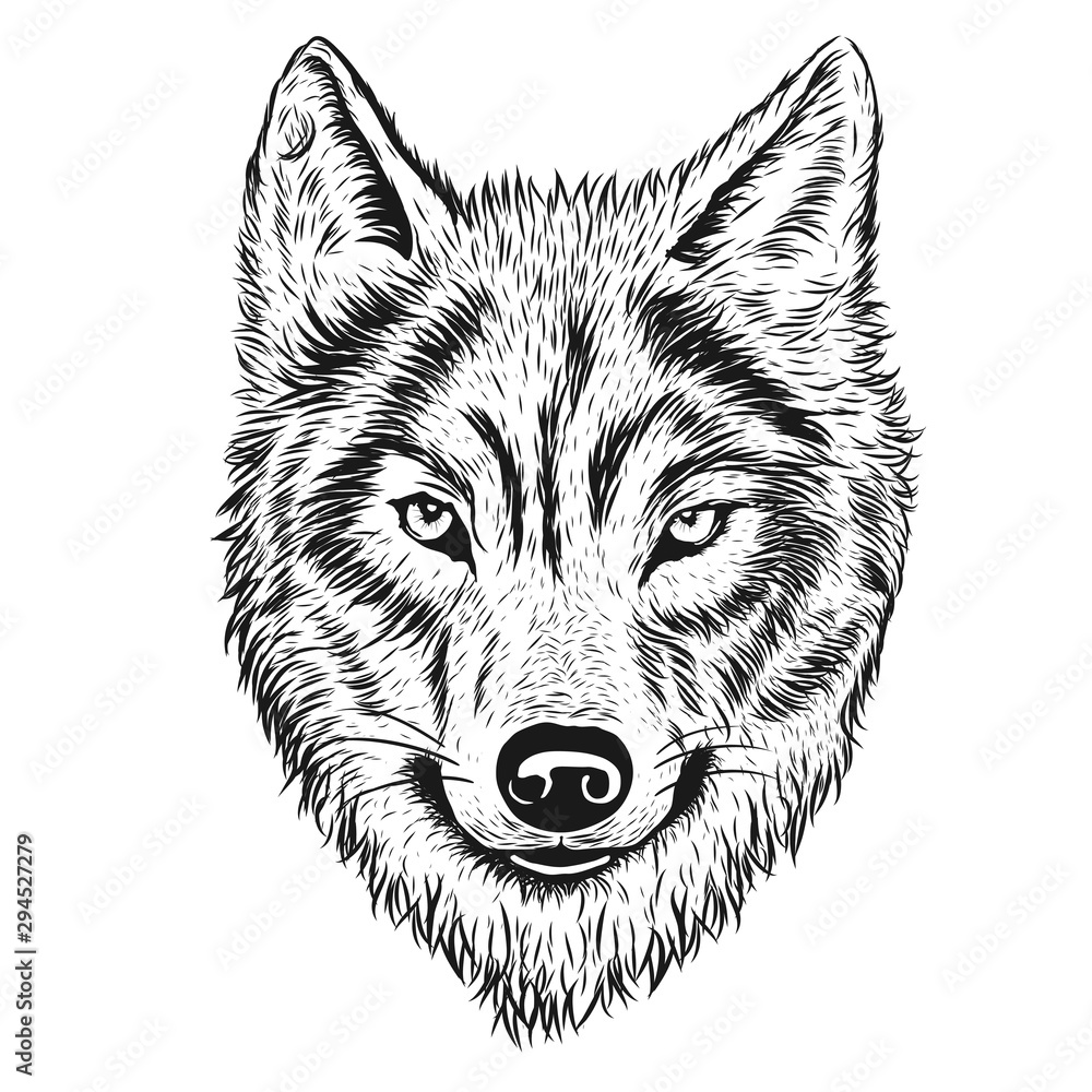 Obraz Ręcznie rysowane ilustrator wilka