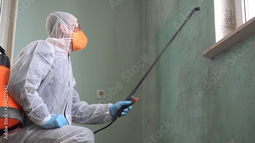 Removing mold.A professional disinfector cleans and sprays the area with an antimicrobial treatment to prevent mold from coming back in house photo