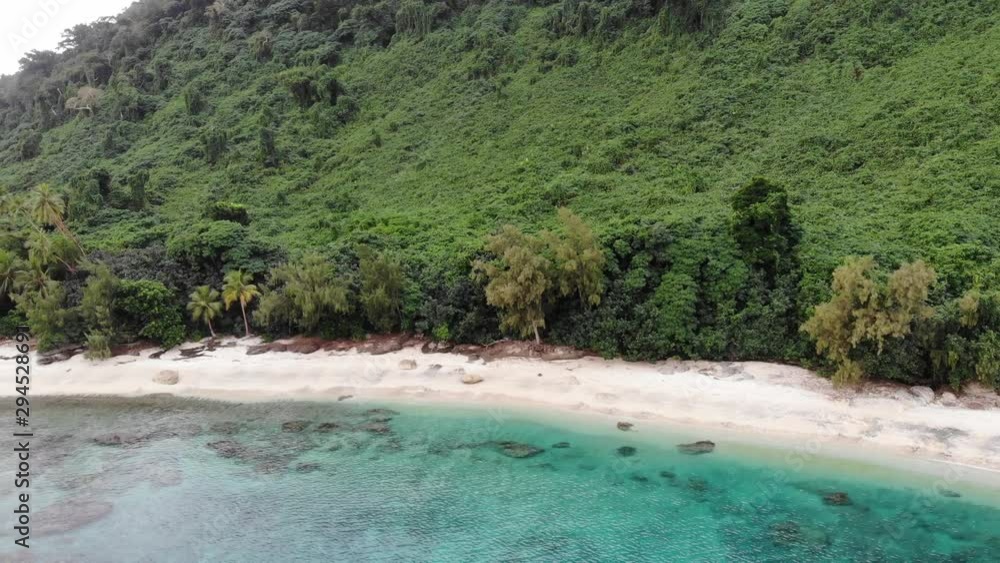 aerial view of a tropical island with clear water palm trees and coral reef in Vanuatu, South pacific aerial view of a tropical island with clear water palm trees and coral reef in Vanuatu, South pacific