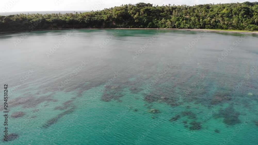 aerial view of a tropical island in Vanuatu with clear water palm trees and coral reef in Vanuatu, South pacific aerial view of a tropical island in Vanuatu with clear water palm trees and coral reef in Vanuatu, South pacific