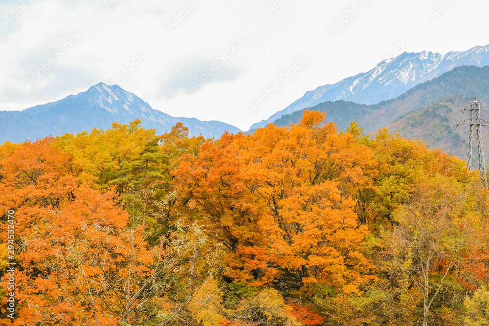 Beautiful autumn leaves of Takase in omachi district, Nagano PrefectureJapan. Beautiful autumn leaves of Takase in omachi district, Nagano PrefectureJapan.