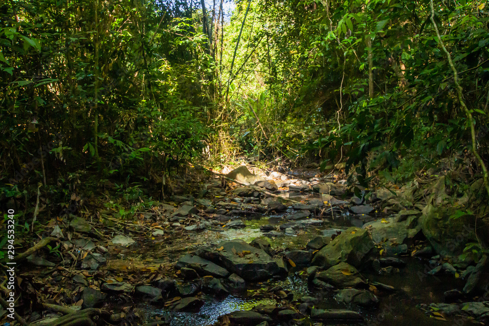 Ton Aow Yon Waterfall rich natural resources,in the forest,asia tropical areaat Island Phuket Thailand. Ton Aow Yon Waterfall rich natural resources,in the forest,asia tropical areaat Island Phuket Thailand.