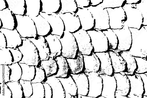 Black and white grunge scales. Vector illustration.