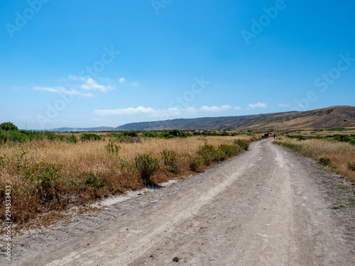 Water Canyon Beach, Coastal Road, near Ranch at Bechers Bay Pier on a sunny spring day, Santa Rosa Island, Channel Islands National Park, Ventura, California, USA