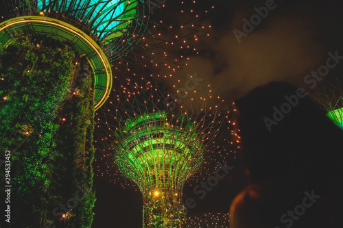 SINGAPORE - J15 September 2019: Walkway at The Supertree Grove at Gardens by the Bay in Singapore near Marina Bay Sands hotel at summer night. photo