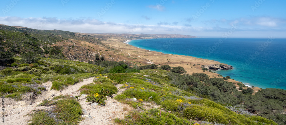 Fototapeta premium Torry Pines hike, near Ranch at Bechers Bay Pier on a sunny spring day, Santa Rosa Island, Channel Islands National Park, Ventura, California, USA