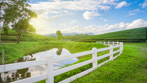 White farm fence between tea plantations mountain and pond,lagoon with blue sky. 