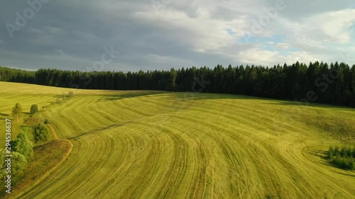 Aerial descending drone flight over a freshly mowed meadow close to a forest. photo