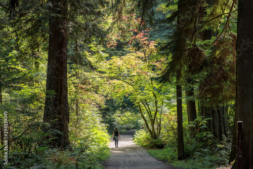 Stanley Park, Vancouver
