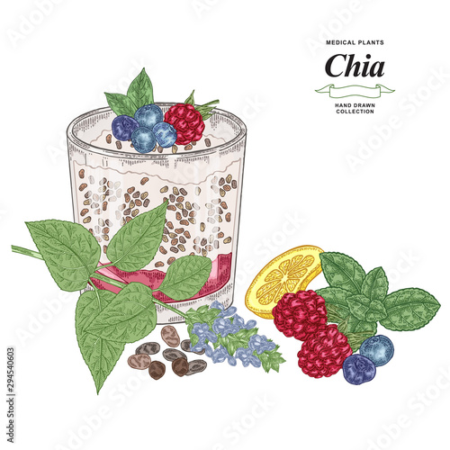 Chia plant with cocktail glass hand drawn. Colorful chia flowers, seeds, raspberry, lemon, fresh mint and blueberry isolated on white background. Healthy food collection. Vector illustration.