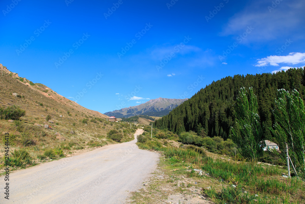 Country road high in the mountains. Tall trees, snowy mountains and white clouds on a blue sky. Kyrgyzstan Beautiful landscape. Country road high in the mountains. Tall trees, snowy mountains and white clouds on a blue sky. Kyrgyzstan Beautiful landscape.