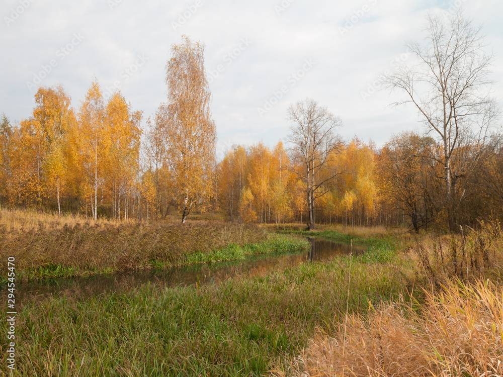 Autumn at the morning park