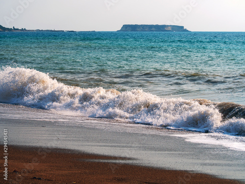 Sea turtles on the beach. Cyprus photo