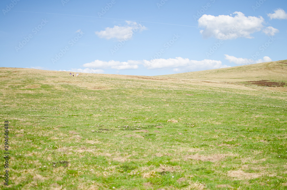 Obraz premium une colline et une prairie