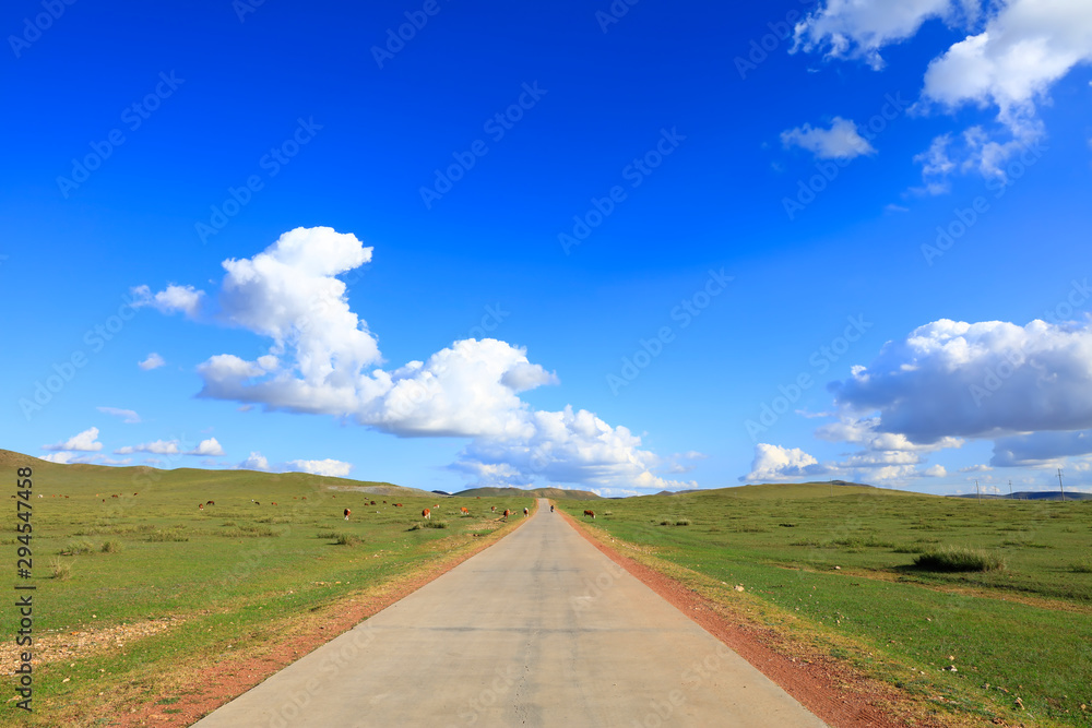 Asphalt roads and cattle on the grasslands