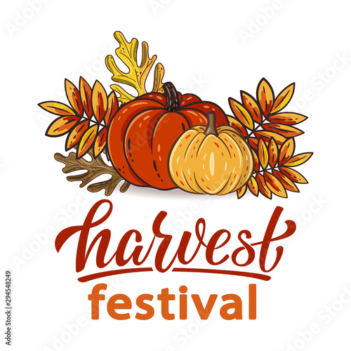 Harvest Festival hand drawn lettering text with autumn leaves and pumpkins. Rowan and oak leaves with gourds. Fall season elements for thanksgiving. Autumn harvest fest. Vector design