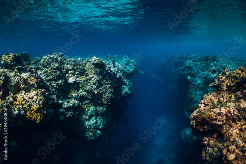 Underwater view with rocks and corals in transparent blue ocean. Underwater landscape © artifirsov
