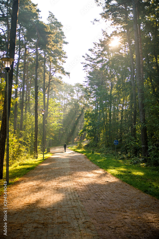 Fototapeta premium sun rays in a forest, way with walking man