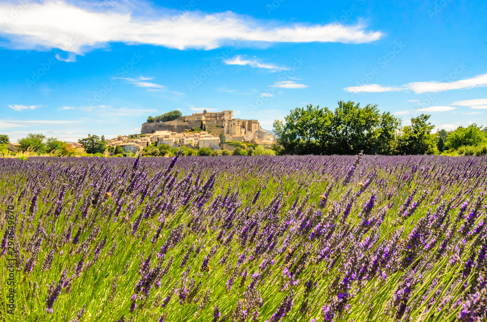 Lavender fields at village Gordes, a small medieval town in Provence, Travel destination in France. Lavender fields at village Gordes, a small medieval town in Provence, Travel destination in France.