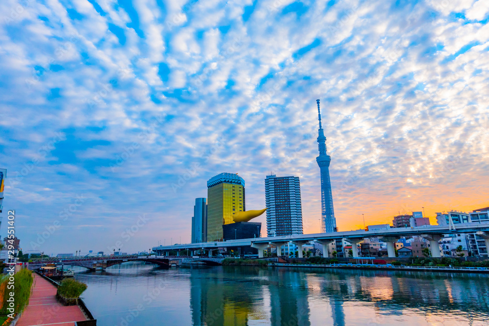 Obraz premium 東京スカイツリーと朝焼け