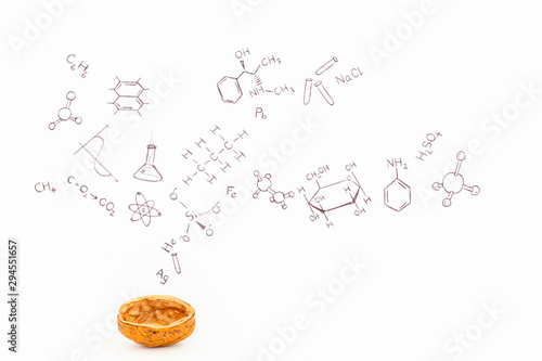 Concept of the phrase chemistry in a nutshell. Chemical formulas and symbols drawn on white paper with walnuts