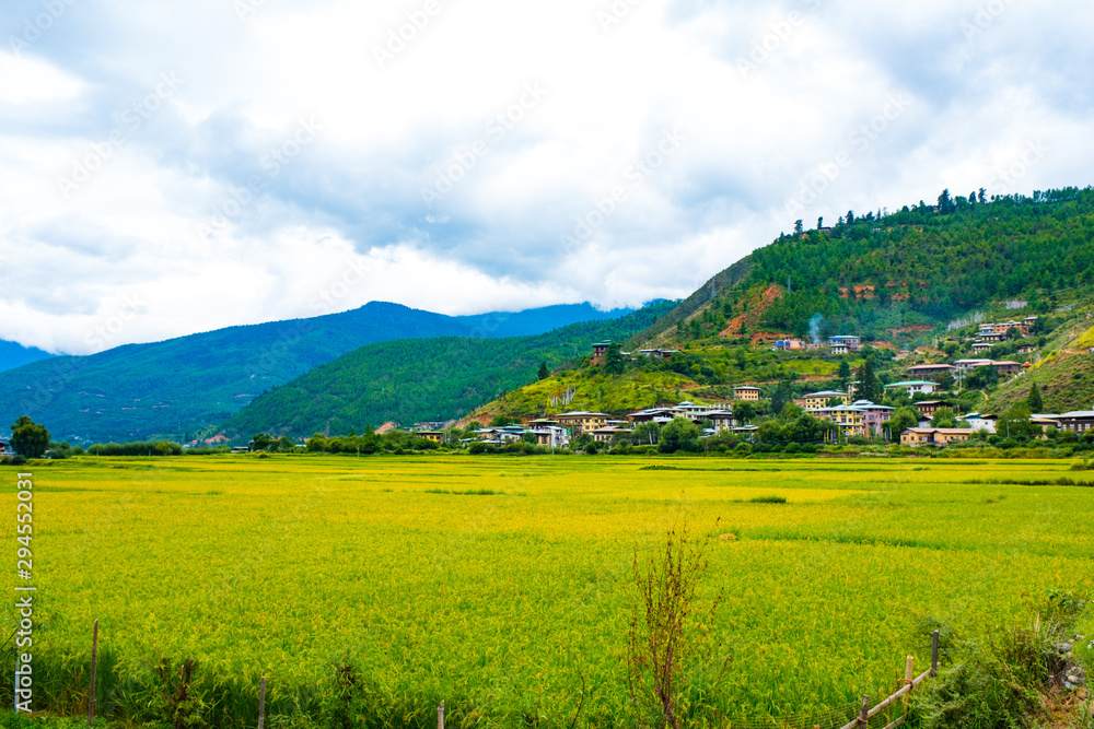 The kingdom of Bhutan Paro city