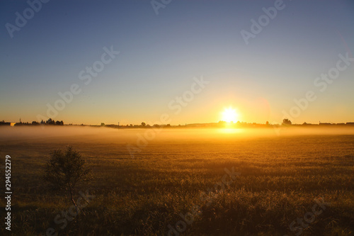 Beautiful golden autumn morning foggy sunny field