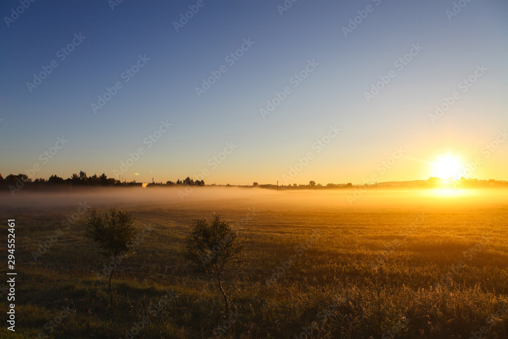 Beautiful golden autumn morning foggy sunny field