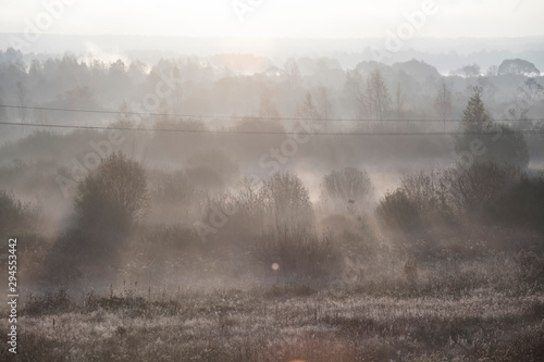 Beautiful golden autumn morning foggy sunny field © Isaiah Fainberg