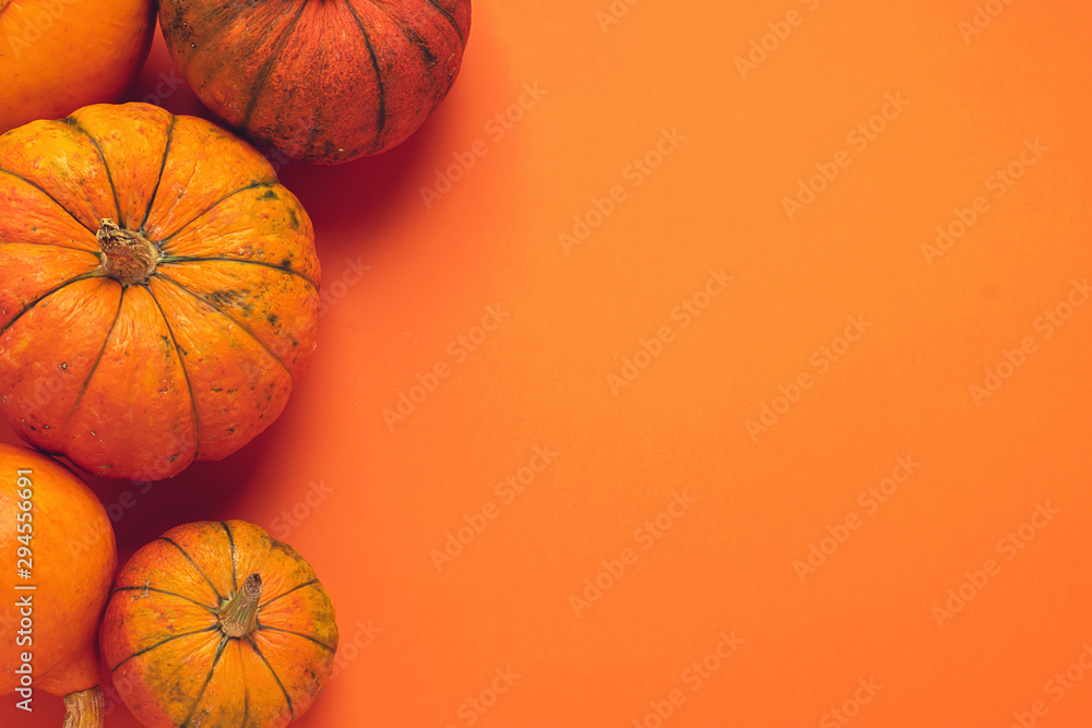 Fresh decorative pumpkin on an orange background. Thanksgiving Autumn Concept. Flat layout. Empty place for text Fresh decorative pumpkin on an orange background. Thanksgiving Autumn Concept. Flat layout. Empty place for text