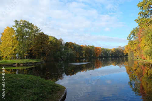 Beautiful autumn park forest. Orange  yellow and red leaves on the trees. Sunny weather.