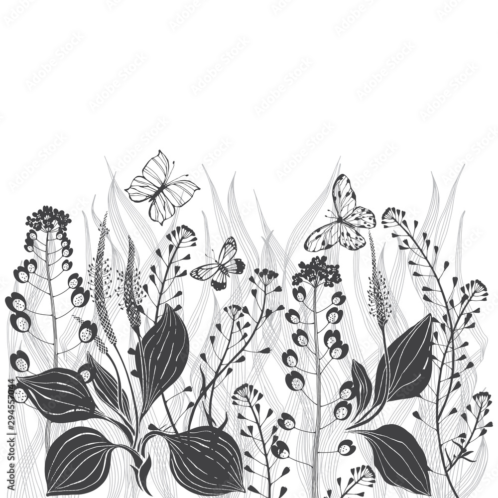Fototapeta premium Floral vector background with meadow wildherbs and place for text on white. Invitation, greeting card or an element for your design.
