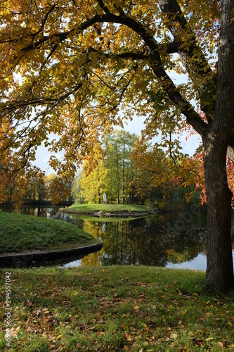 Beautiful autumn park forest. Orange, yellow and red leaves on the trees. Sunny weather.