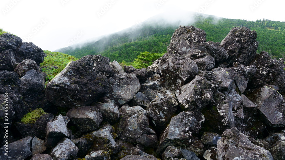 霧のかかる山の風景-日本の北八ヶ岳