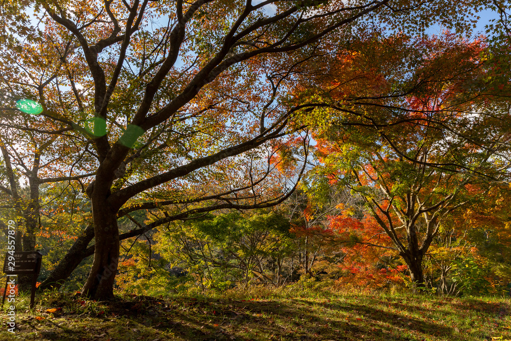 日本の秋の風景、もみじと色づき始めた山々