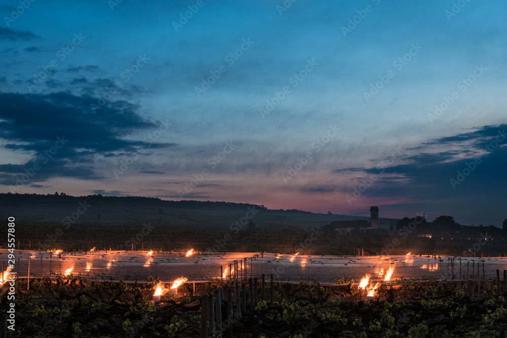 bougies et feux dans les vignes de Pommard en bourgogne côte-d'or pour lutter contre le gel et protéger les vignes du froid.