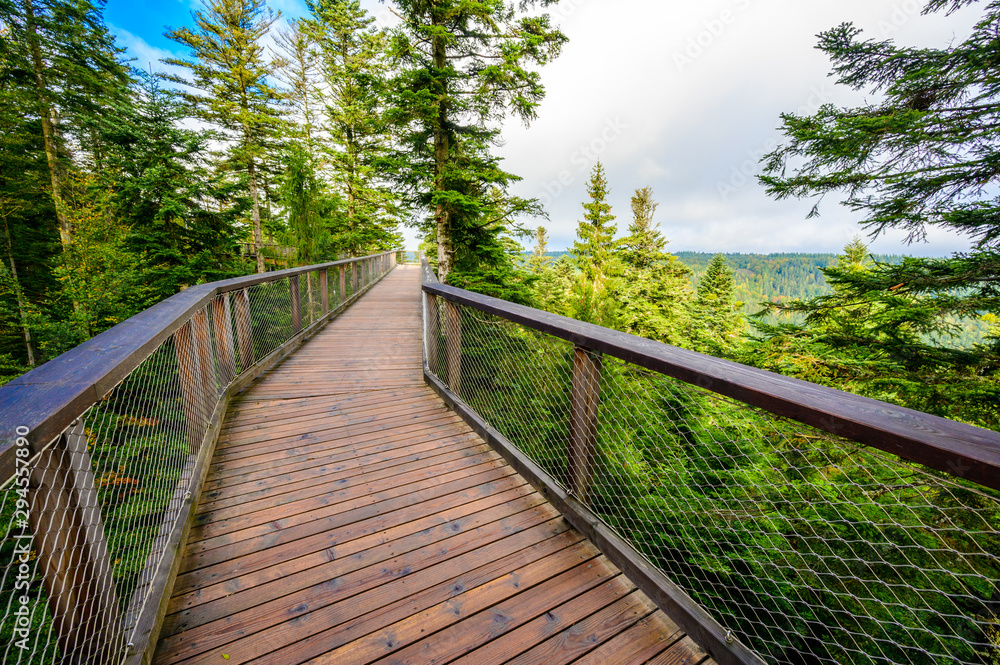 Treetop walk in Black Forest with 40m high Lookout tower located at Sommerberg, Bad Wildbad - Travel destination in Germany